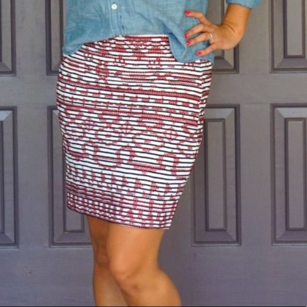 THML~Brandi Embroidered Skirt~Stitch Fix Exclusive